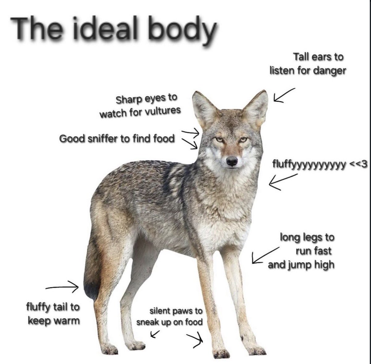 Wait, I’m Yoted? tweet media