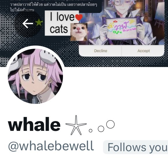 mx | งด🍺 22-31 มี.ค. tweet media