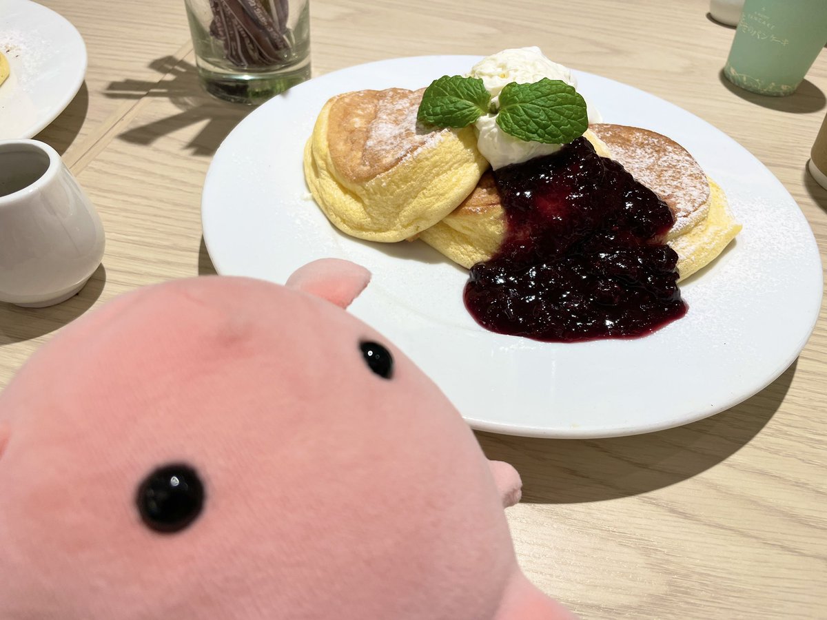 柳斗＠シンステ14 L-01,02 tweet media