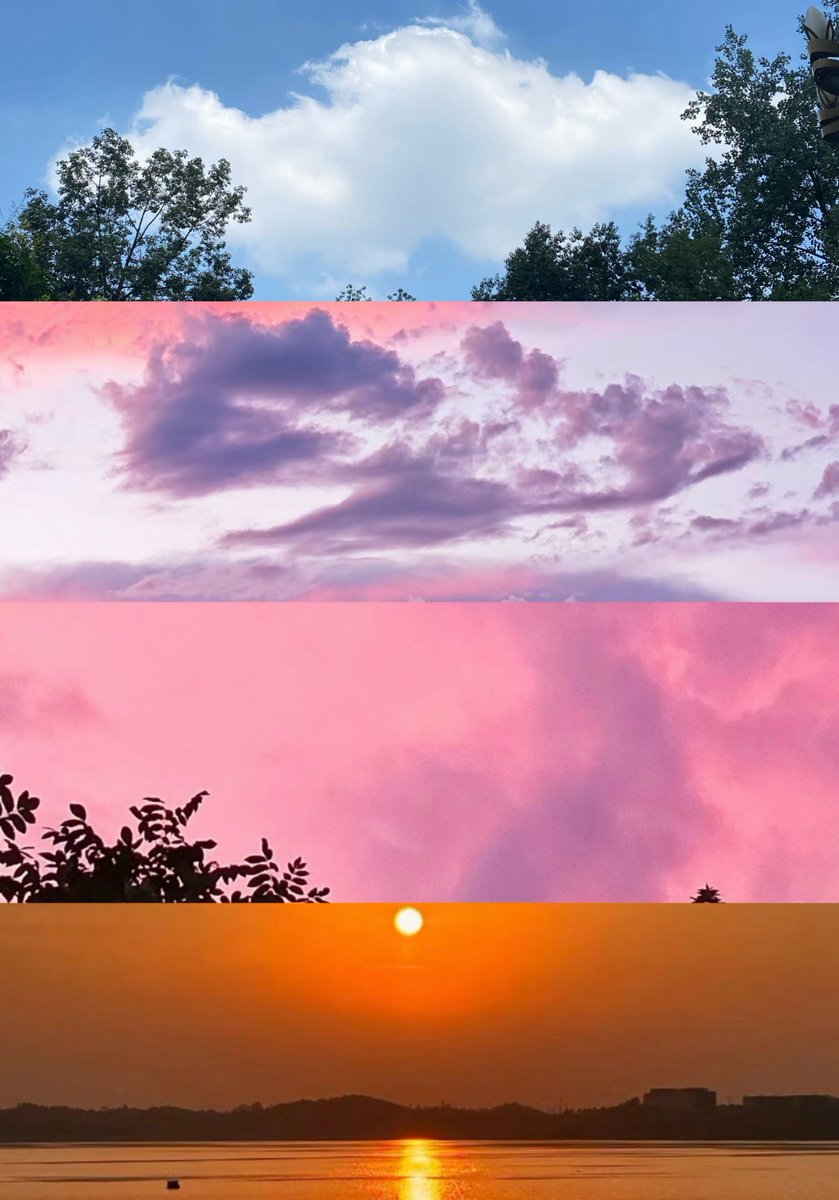 rosa muñoz gonzalez tweet media