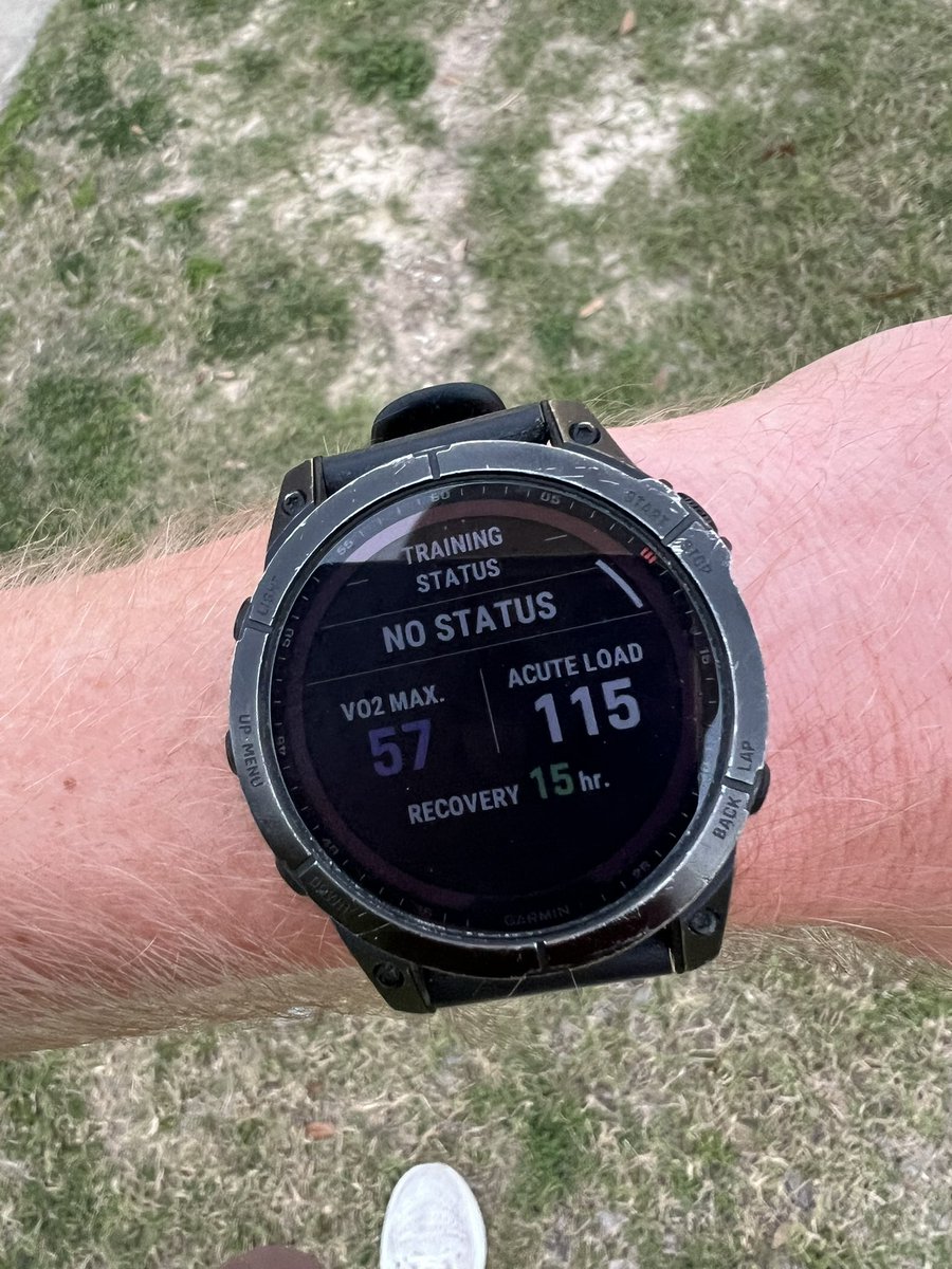 K A L E O tweet media