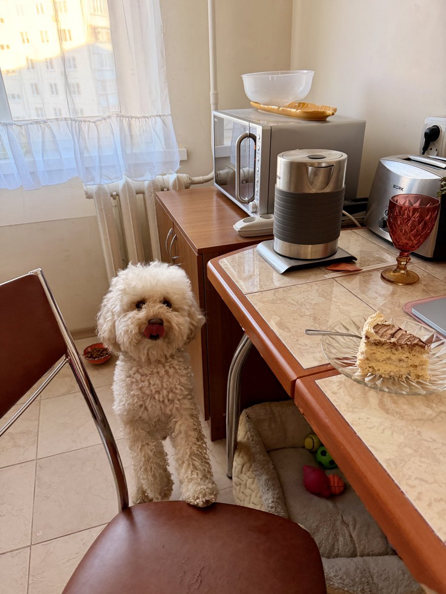 принцесса всего tweet media