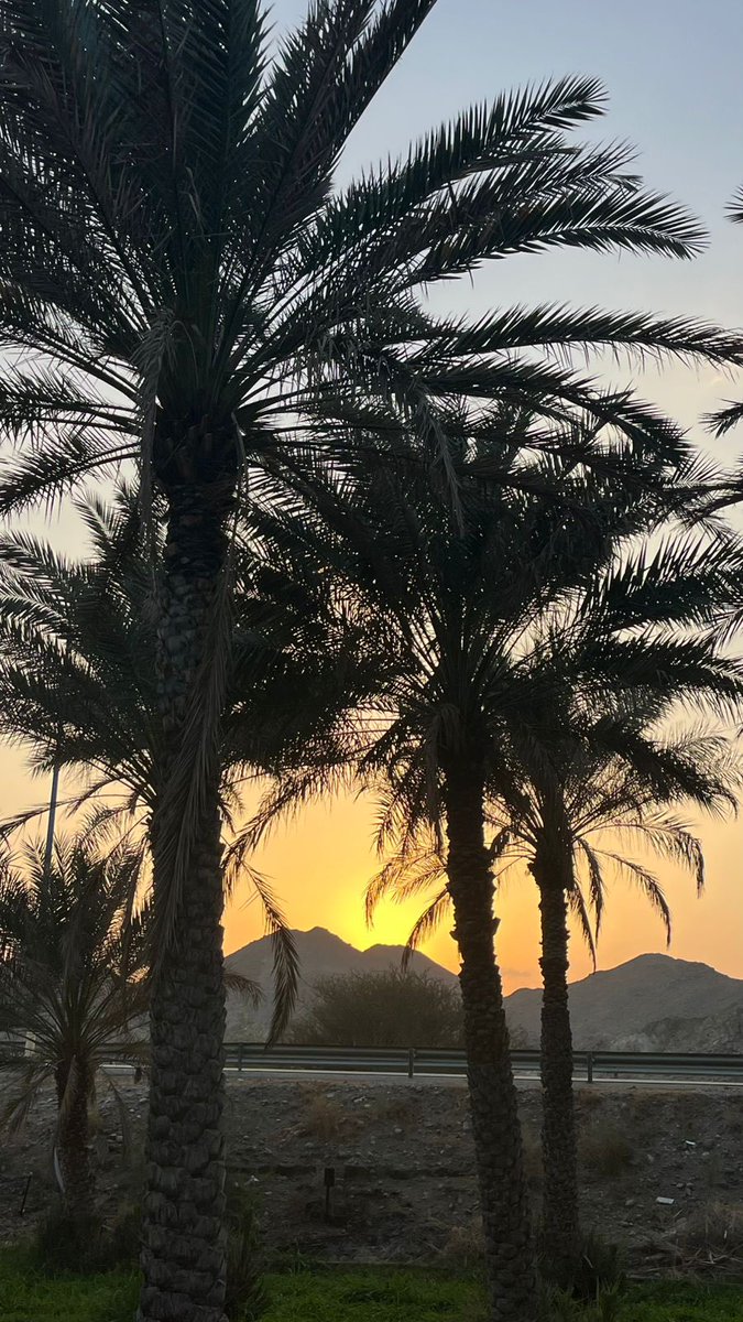 قلم رصاص tweet media