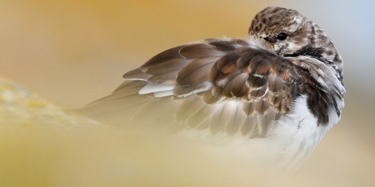 Région Hauts-de-France tweet media