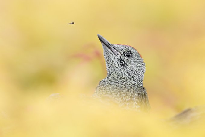Région Hauts-de-France tweet media