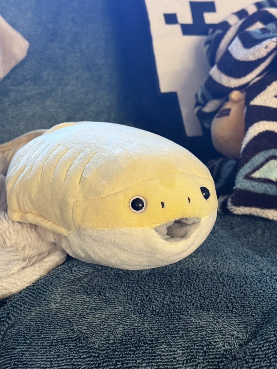 keel🌦 tweet media