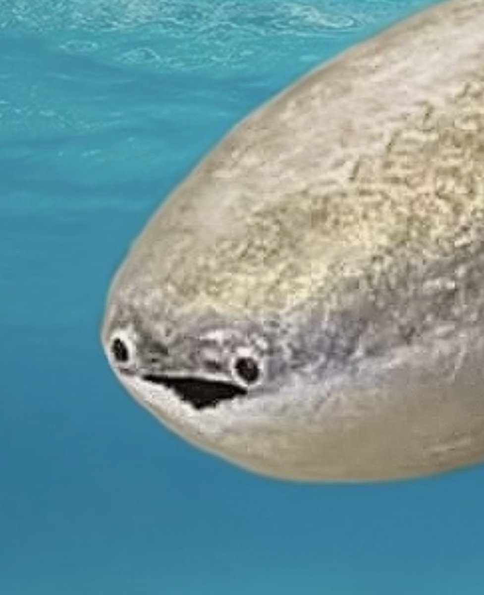 keel🌦 tweet media