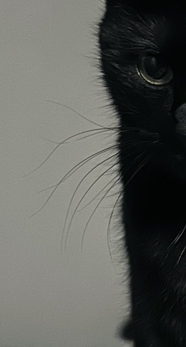 Mika 미카 🩵 tweet media