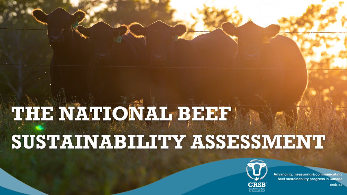 Canadian Roundtable for Sustainable Beef (CRSB) tweet media