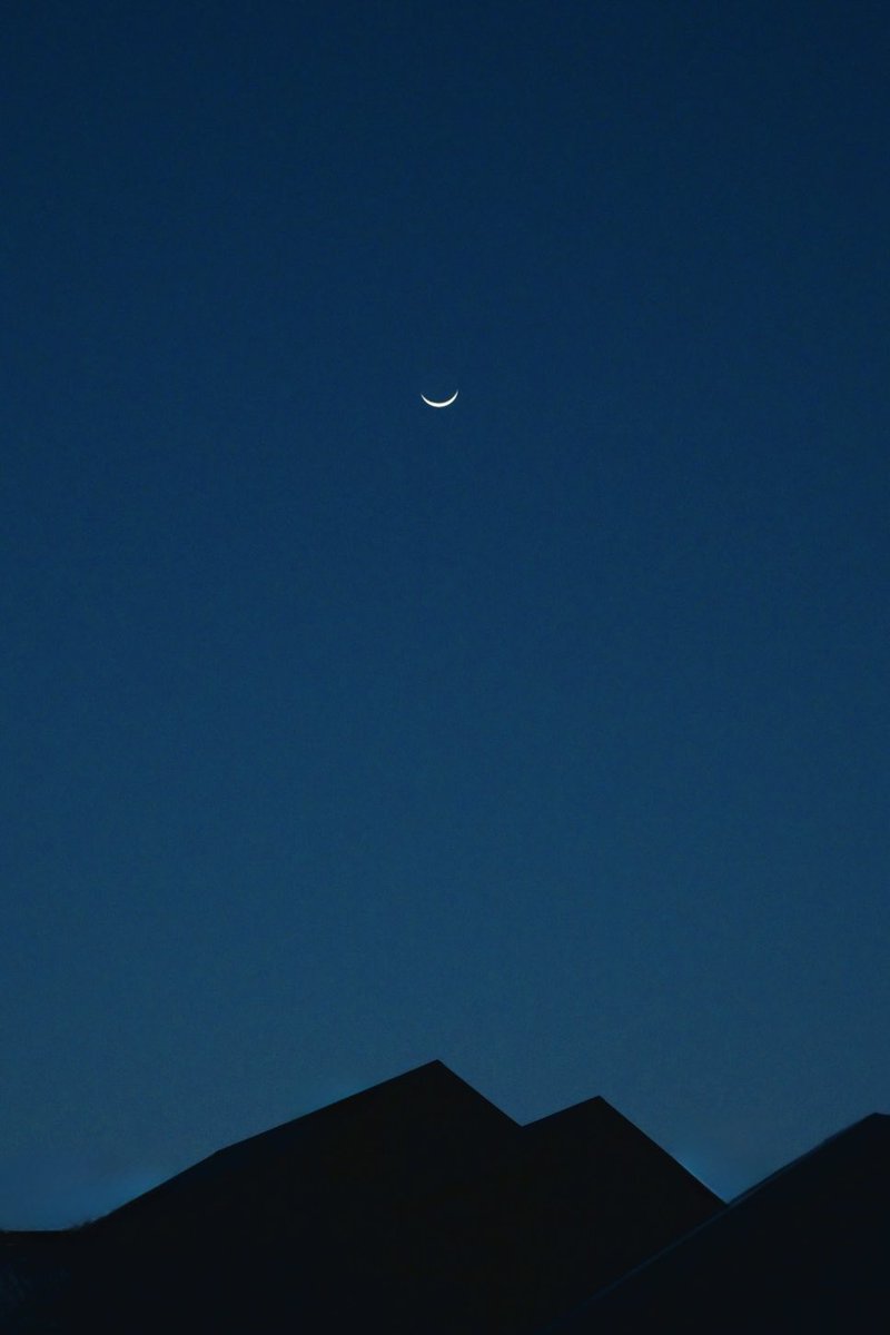 めぐ｜写真 tweet media