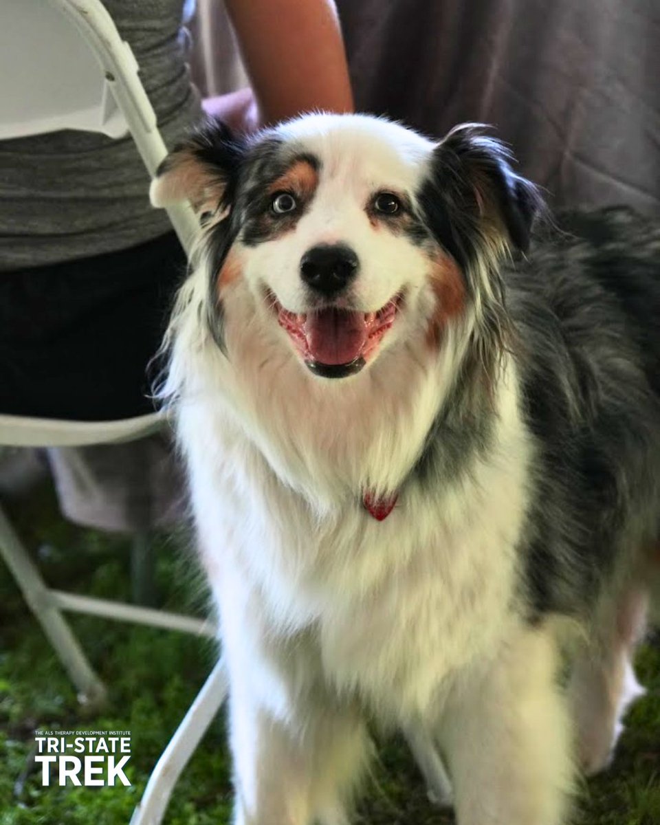 Tri-State Trek tweet media