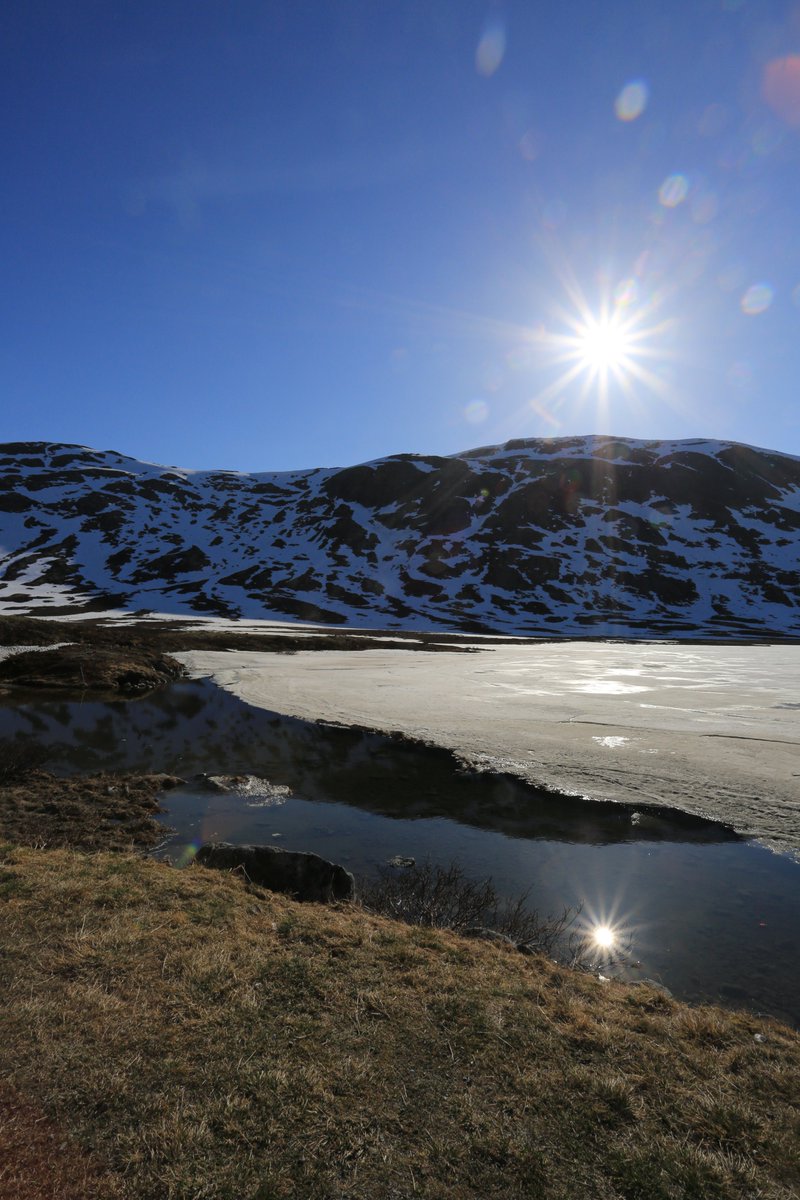 Roman_P 🚢😎🤦 tweet media