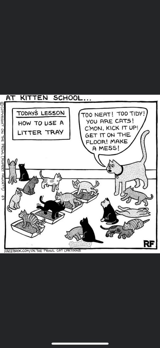 Joy Jones tweet media