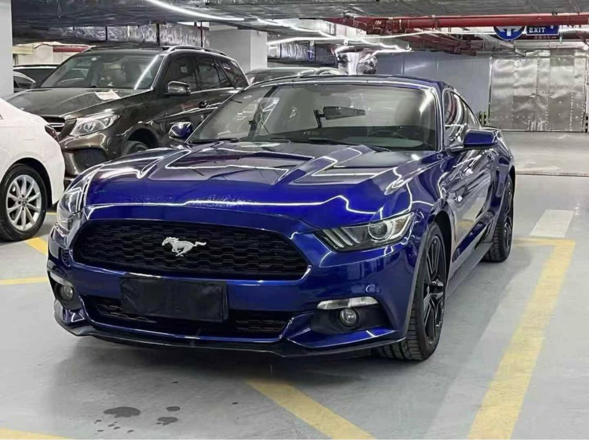 Big Daddy✨ tweet media