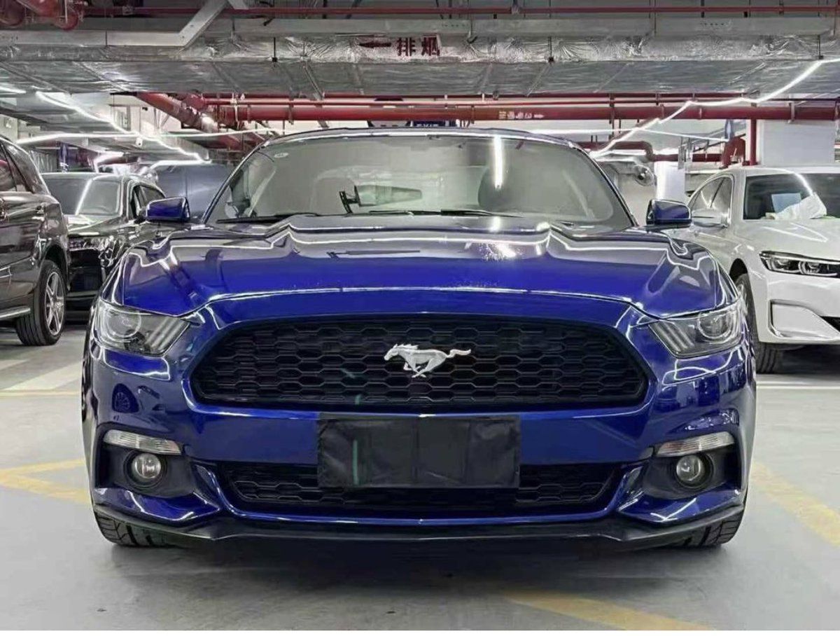 Big Daddy✨ tweet media