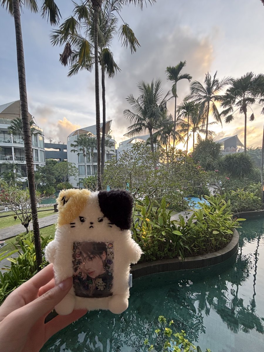 Lisa★ tweet media