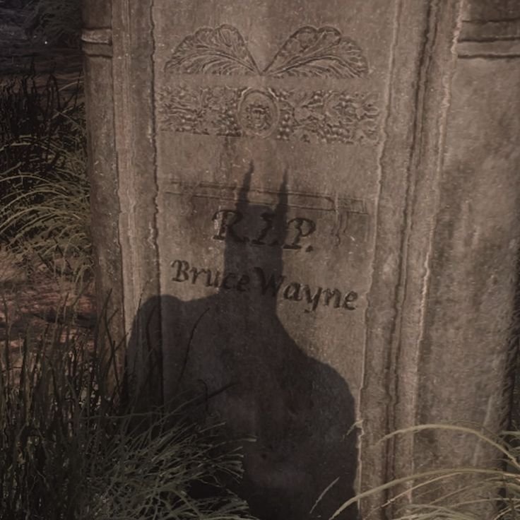 ÖGO | Cerys 🦇 tweet media