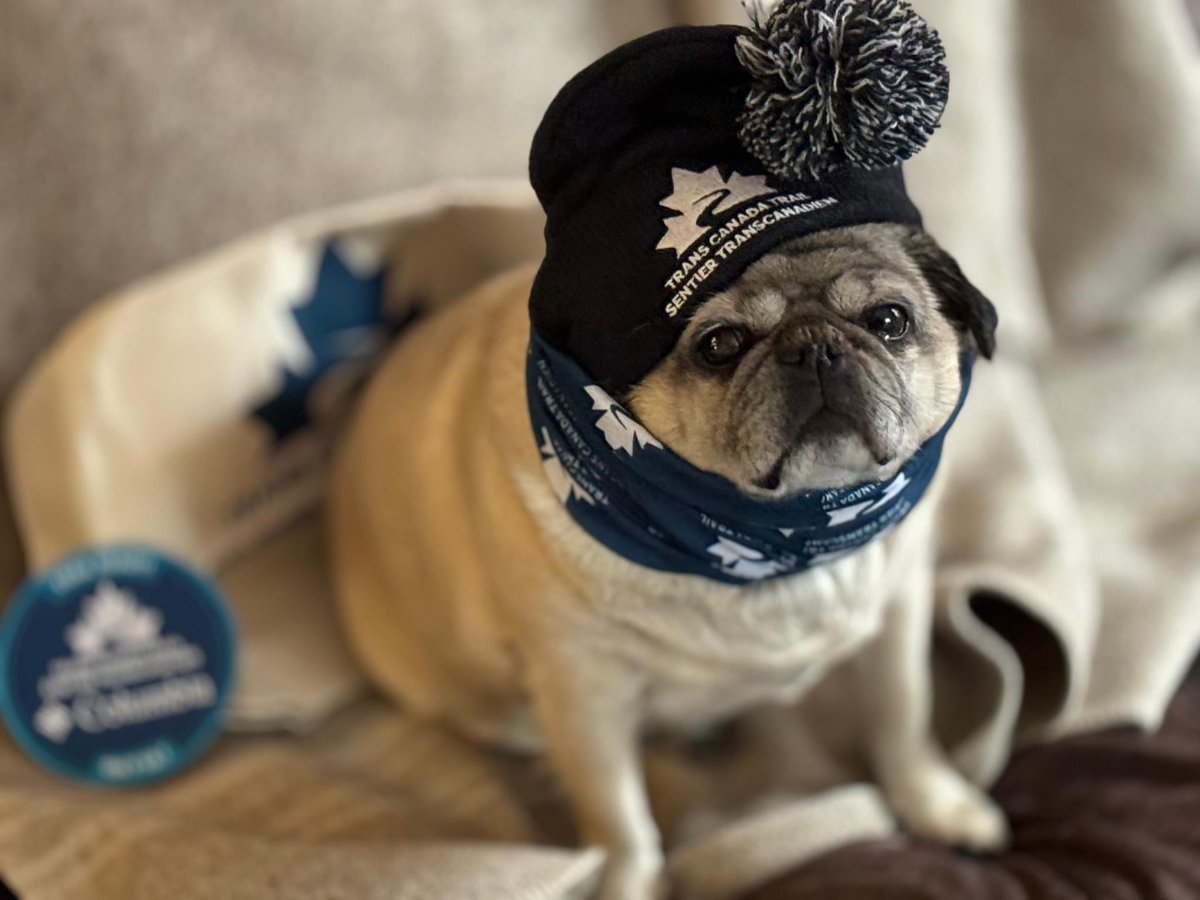 Trans Canada Trail 🇨🇦 tweet media