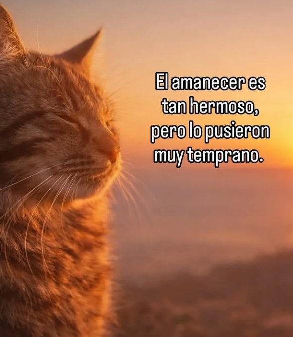 Mairim Mariss...💋 tweet media