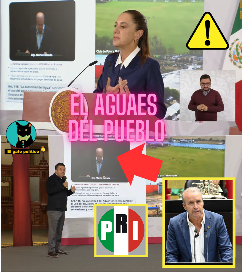 El gato político tweet media