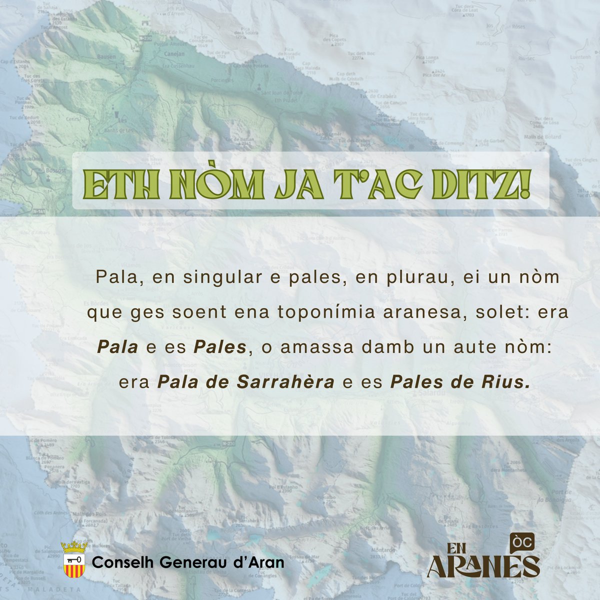 En Aranés tweet media