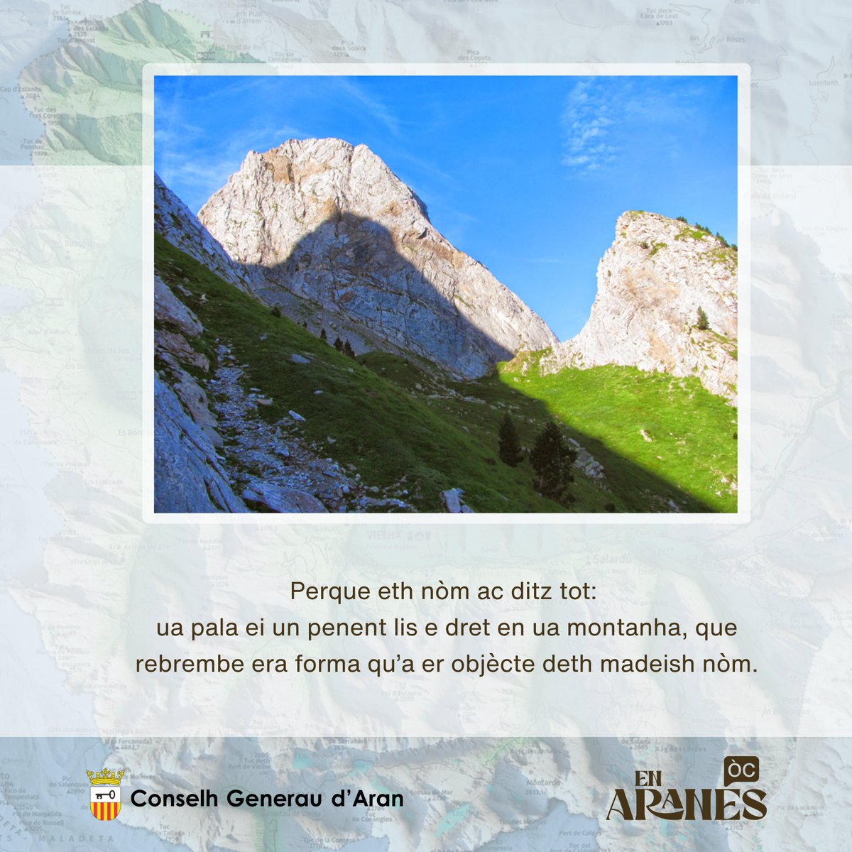 En Aranés tweet media