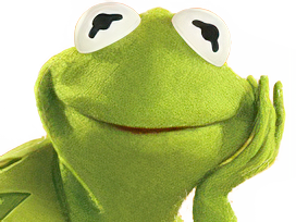 Ein Xecty tweet media