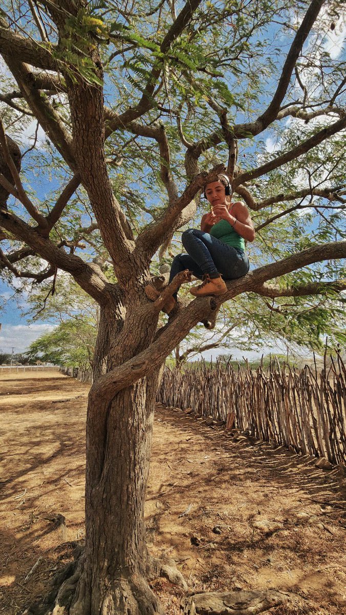 alicinha do cangaço novo 2T tweet media