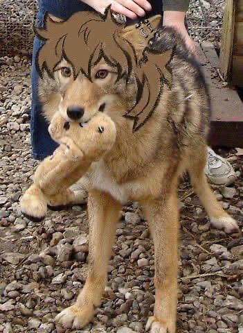 Bat of the sea tweet media