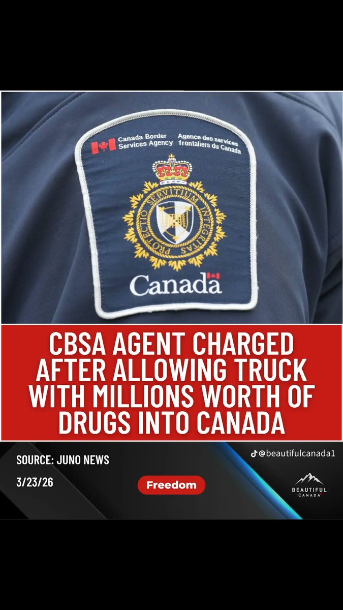 Ivano Defazio 🇨🇦🇮🇹🇺🇸 tweet media