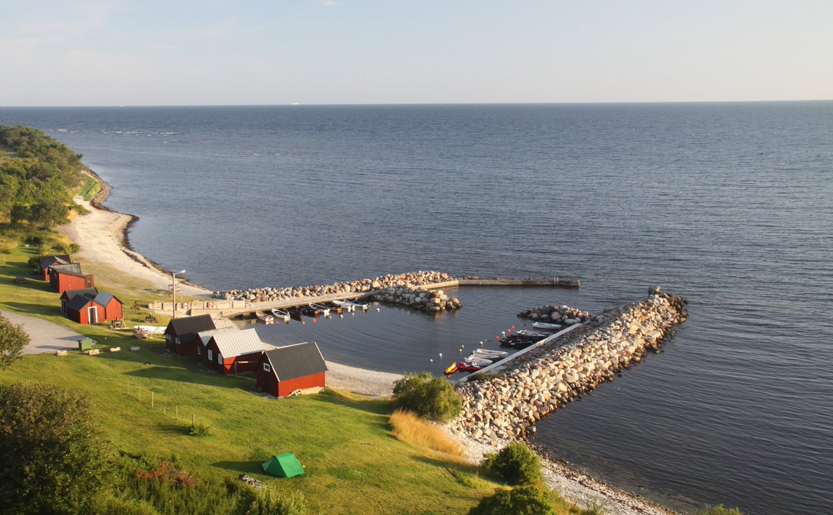 Roman_P 🚢😎🤦 tweet media