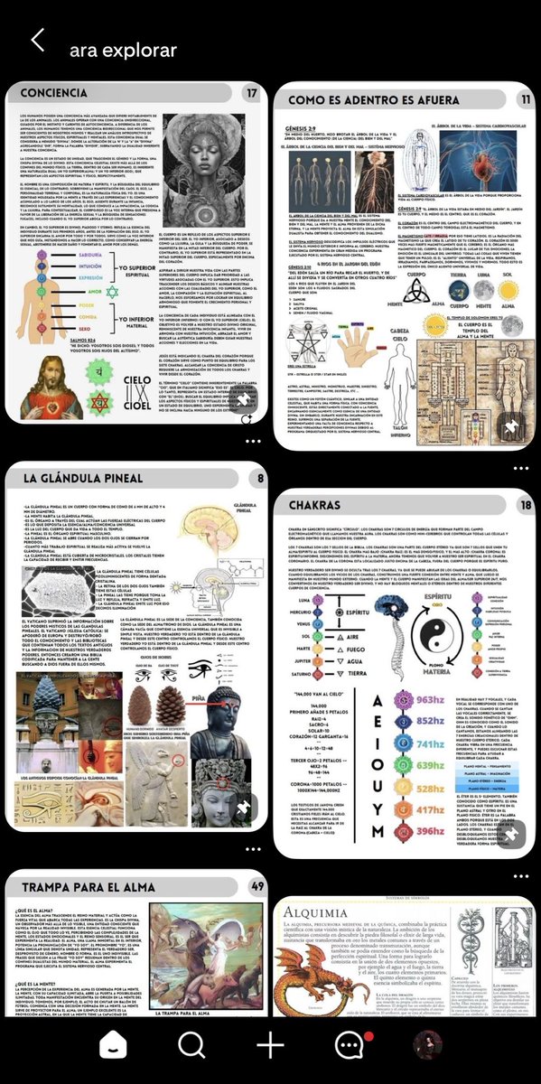 No sé qué rompí pero acabo de desbloquear Pinterest Premium