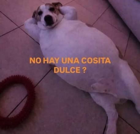 Real Enfermo Mental🥐 tweet media