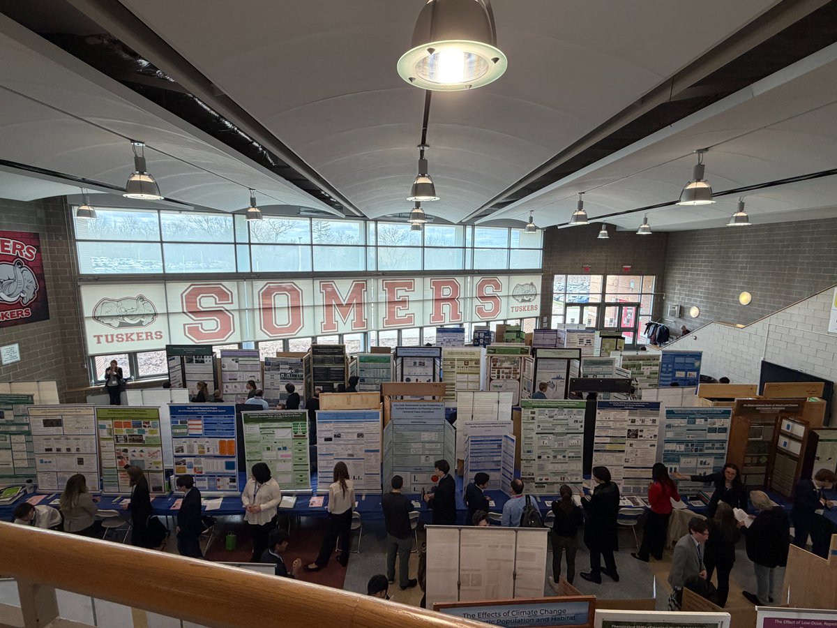 Bedford Central School District tweet media