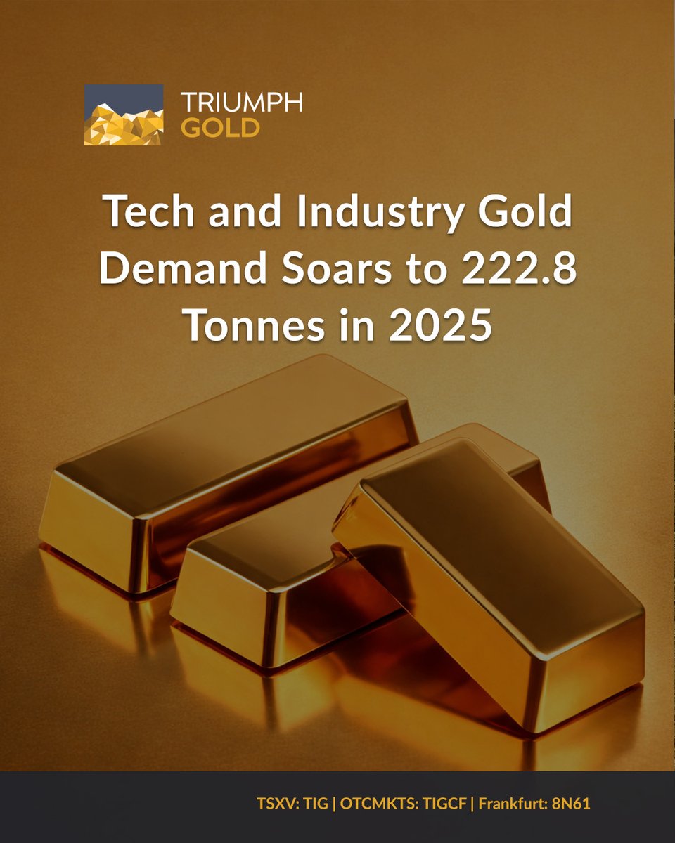 Triumph Gold Corp tweet media
