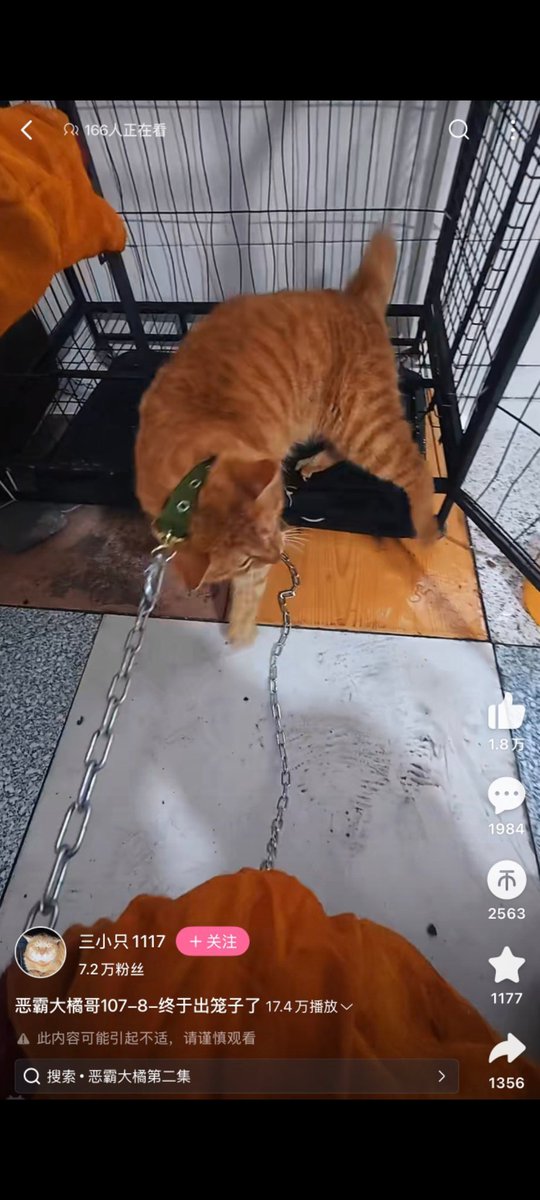 Nimernight tweet media