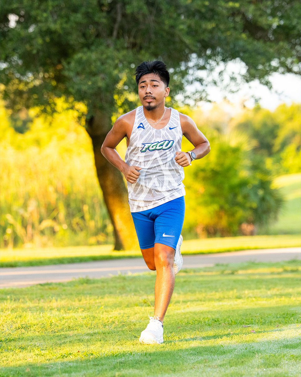 FGCU Cross Country tweet media