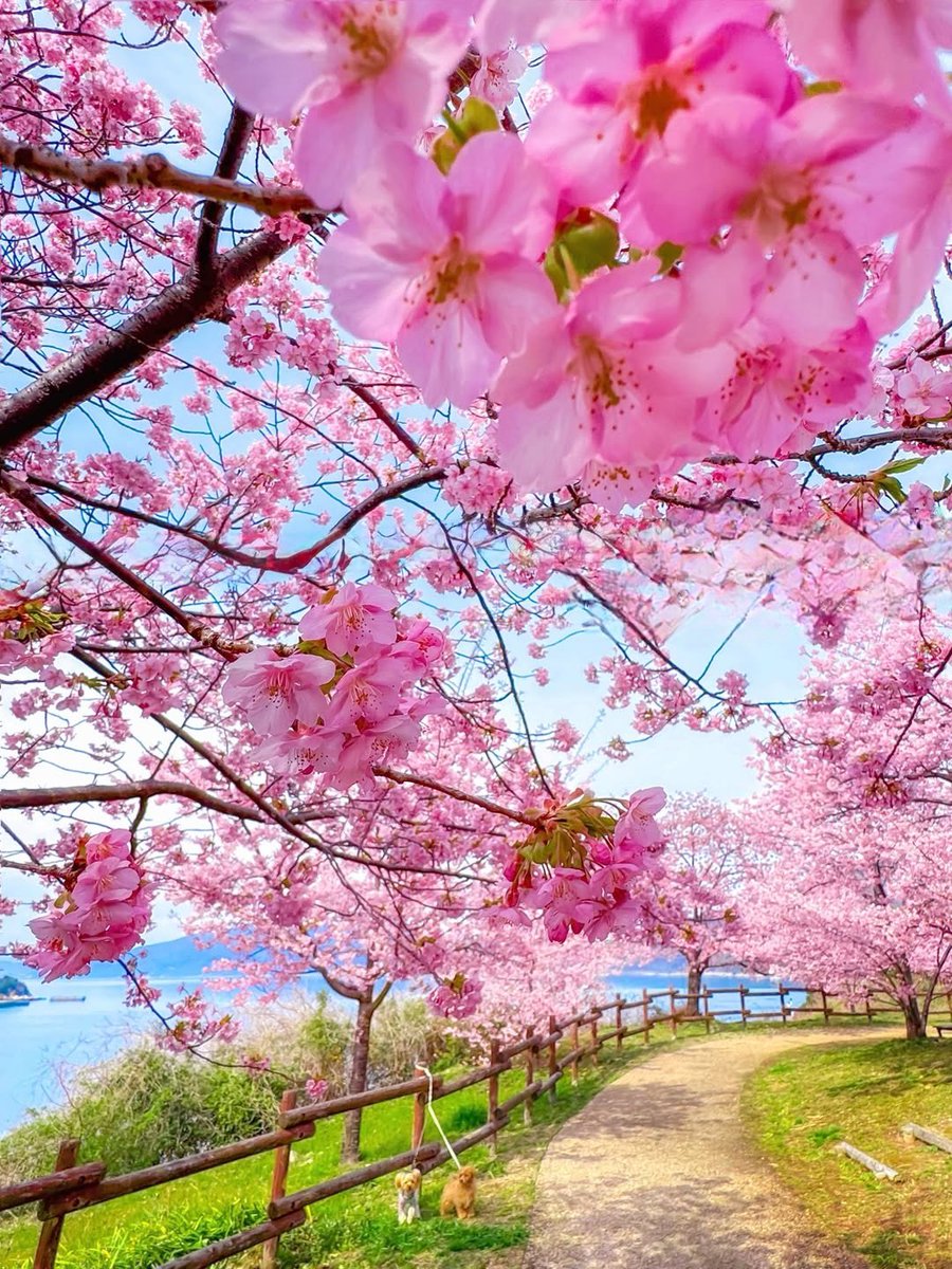 𒈙 Jack 𒈙 tweet media