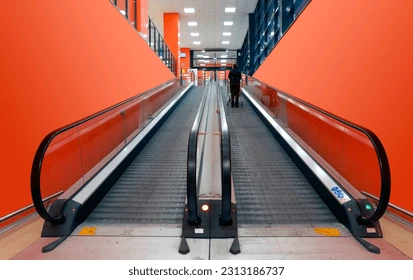 Animated Archetypes Daily tweet media