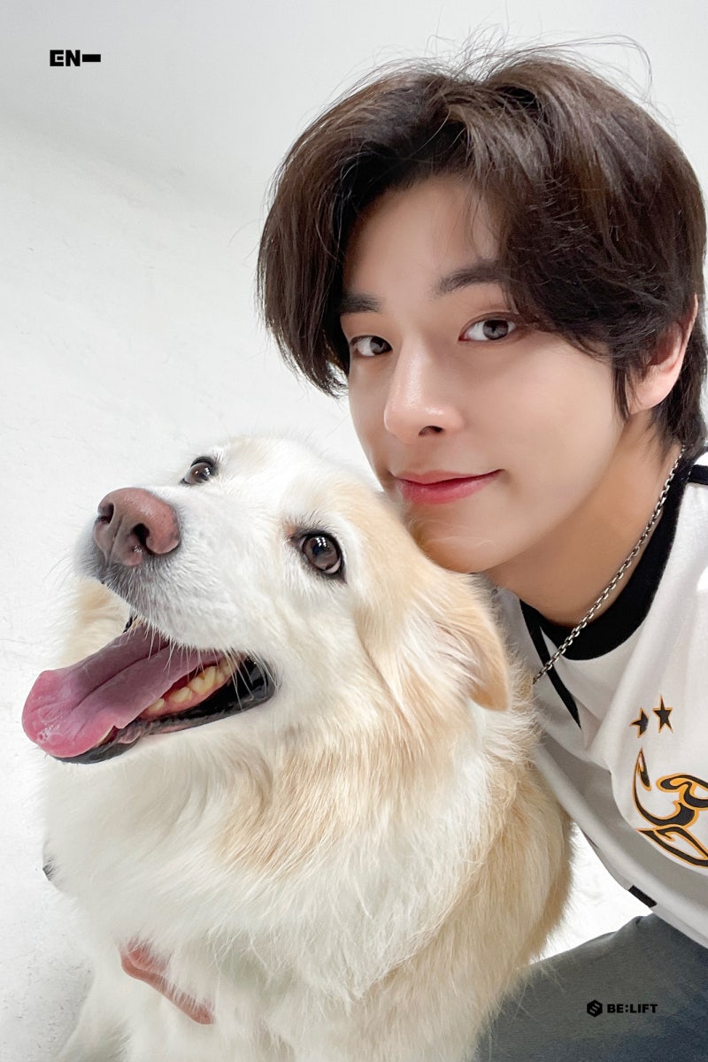 sopi ^᪲᪲᪲ tweet media