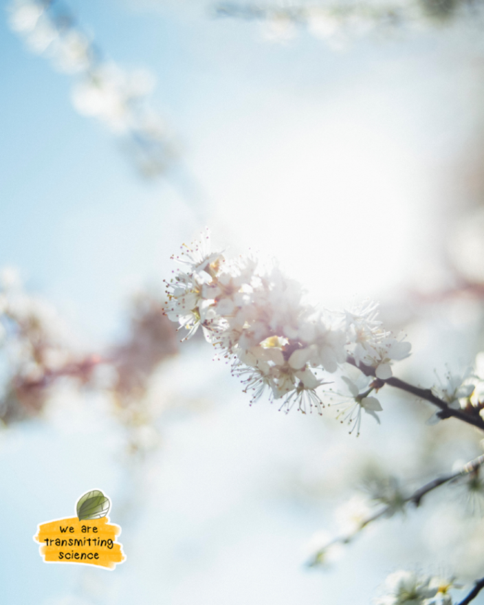 Transmitting Science | Online courses and more tweet media