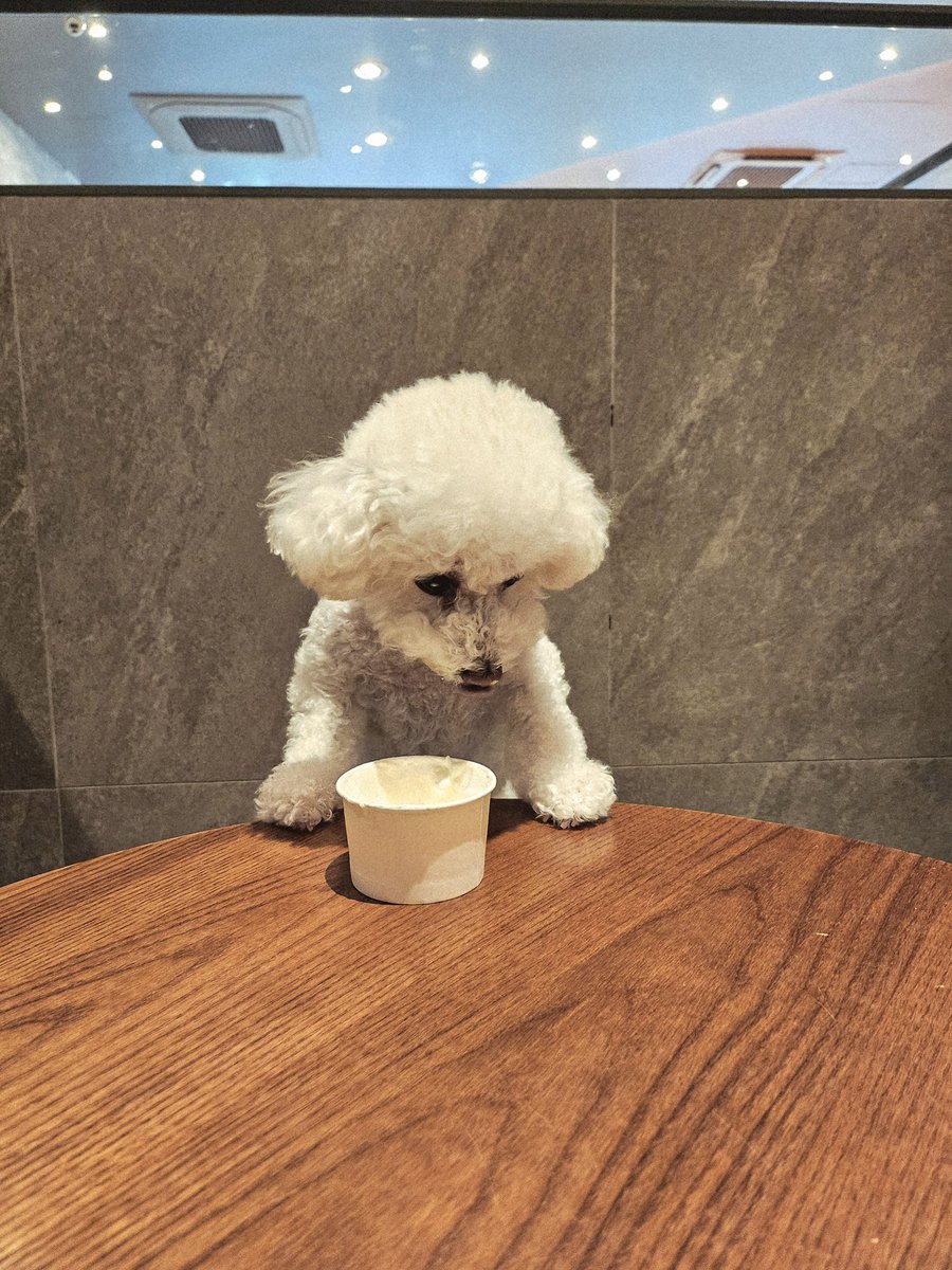 𝗶𝗺𝘄𝗶𝗻🐾 tweet media