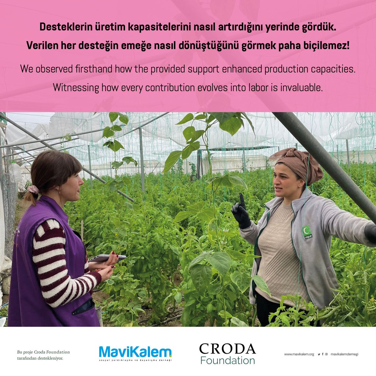 Mavi Kalem Derneği tweet media