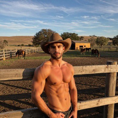 Penetrated by Alpha male tweet media