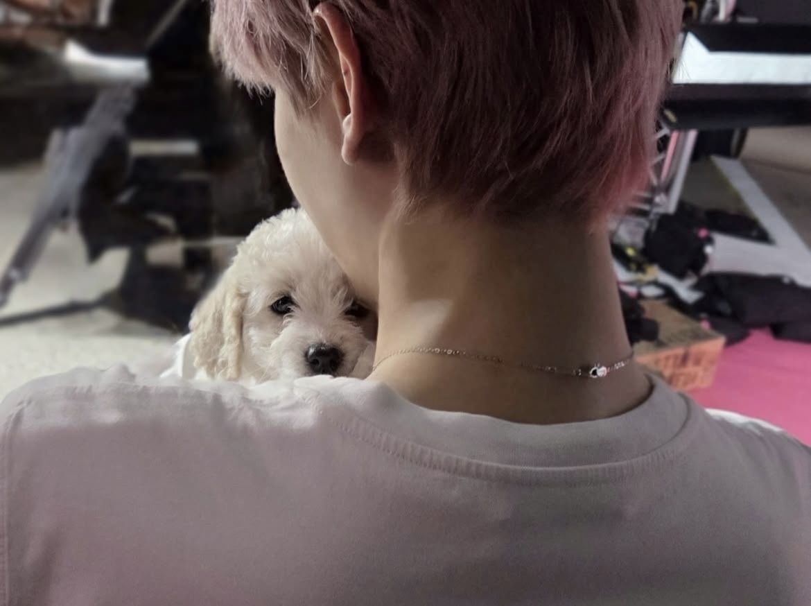 eating fries in baekhyun rolls royce tweet media