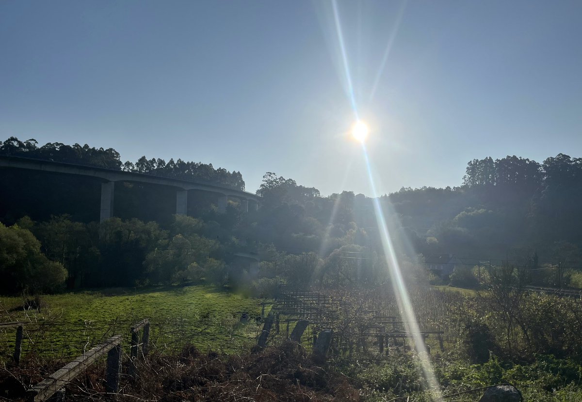 Nick James tweet media