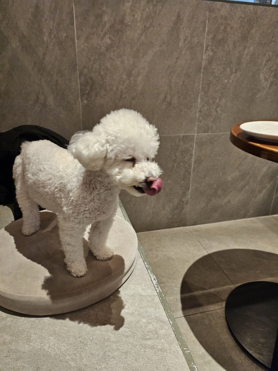 ❄️얼음별 tweet media