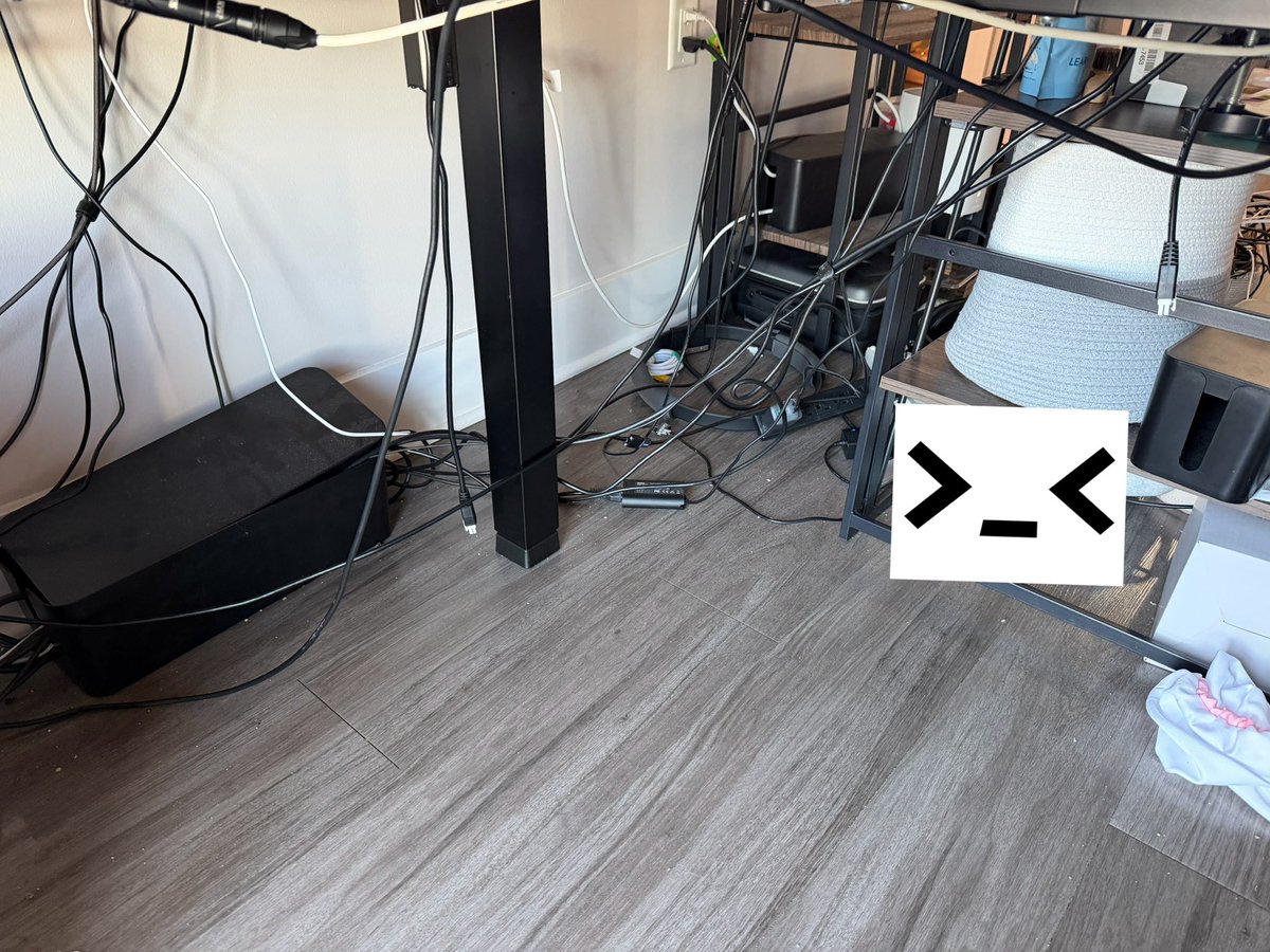 ^›⩊‹^ ੭ tweet media