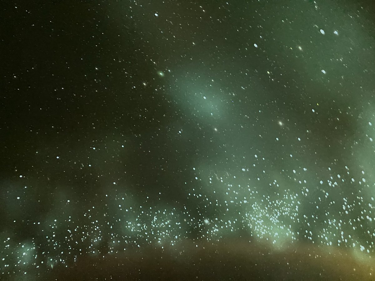 ボカミュージアム tweet media