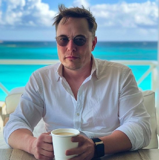 (FAN) Elon musk fanatic tweet media